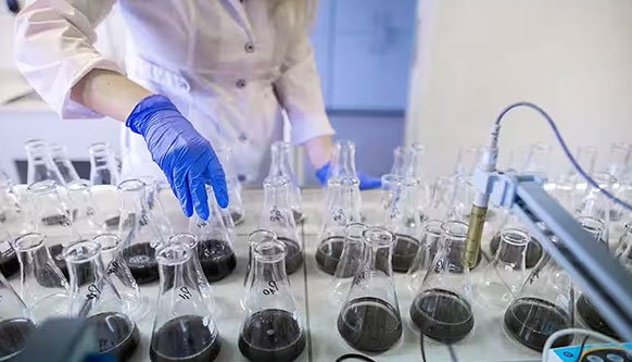 molasses testing services