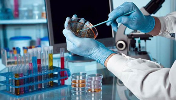 de-oiled rice bran(dorb) testing